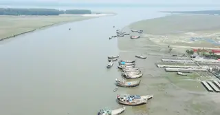 পাথরঘাটা মৎস্য অবতরণকেন্দ্রে ইলিশ সরবরাহে ধস, রাজস্ব আয়ে ধাক্কা